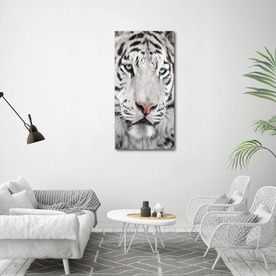 Dogs And Cats - Wrapped Canvas Print