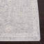 Tapis Webster 300 Performance-1700328702