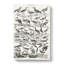Ornithology Study Of Birds LXVII by Oliver Goldsmith - Wrapped Canvas Print-55311319