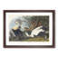Eider Duck by John Audubon - Picture Frame Painting Print-55539727-55539726