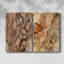 «Tree Texture Triptych I», toile tendue avec châssis - Prêt à accrocher