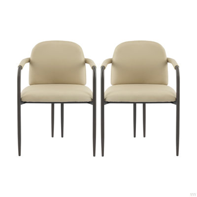 Dinning Chair With Iron Frame-Set Of 2