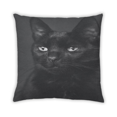 Coussin Cat Cats 51