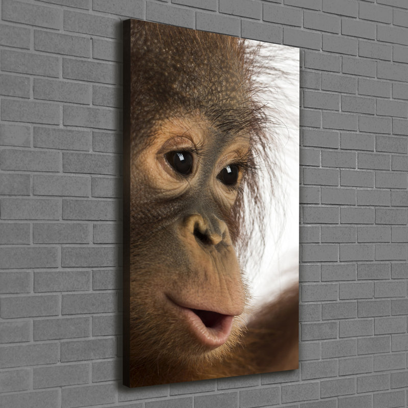 A Young Orangutan - Wrapped Canvas Print