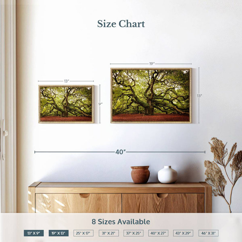 Chêne Charleston Angel, 19 po x 13 po, Cadre flottant en bois naturel
