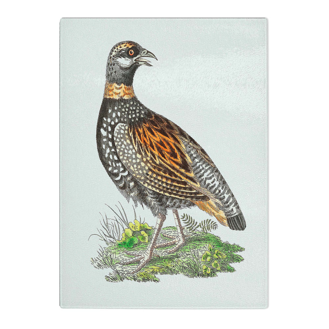 Tempered Glass Francolin Partridge by George Shaw Chopping Board