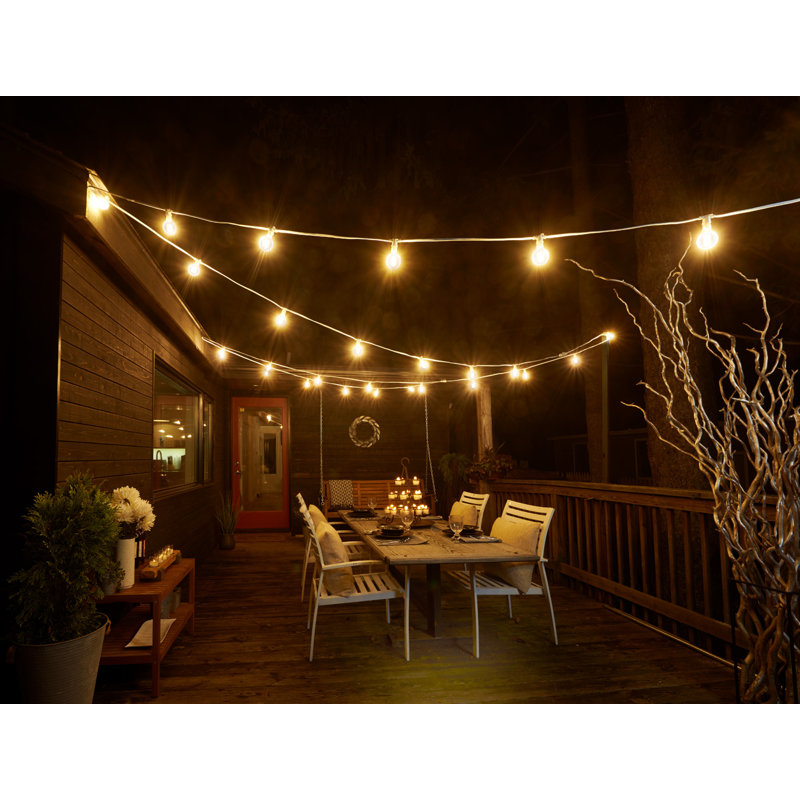 Mangus Outdoor 15 - Bulb 25'' Plug-in Globe String Light