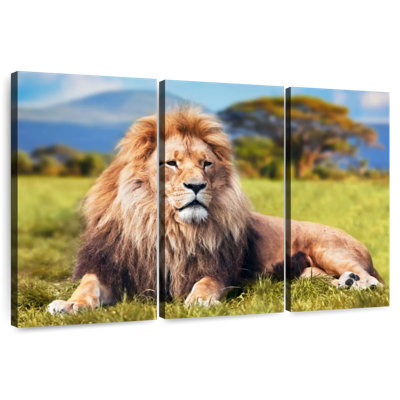 Brampt Chill Safari Lion