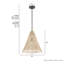 Grand luminaire suspendu 1 lumière Hunter Comet