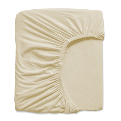 Ensemble de draps-housse en microfibre crème Southland Fine Linens Vilano