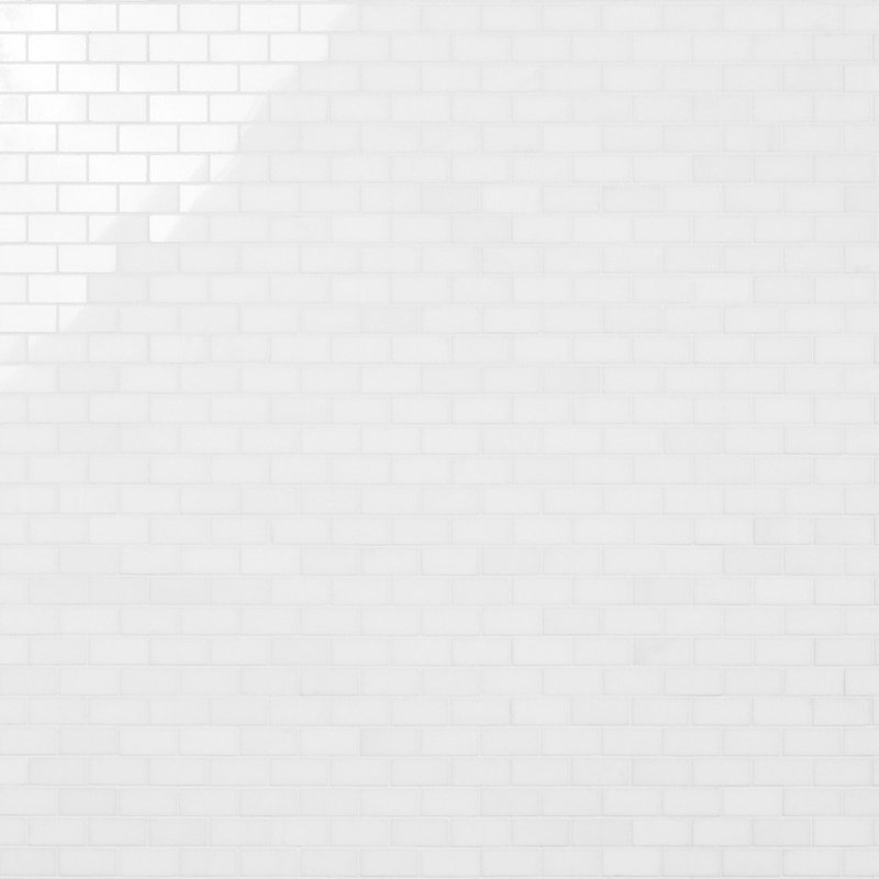 Thassos 1x2 Polished Marble Mosaic Tile