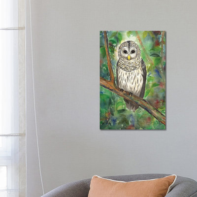 Barred Owl par Christine Reichow - reproduction imprimée
