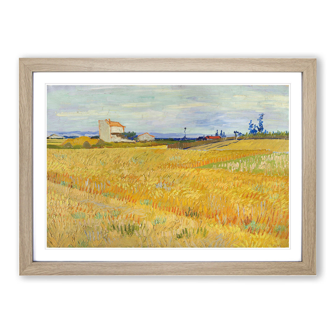 Wheat Field by Vincent Van Gogh - Picture Frame Painting