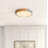Luling Simply Design Energy-Saving Circle LED Dimmable Flush Mount Ceiling Light Fixture-1971631771-1971631767