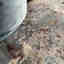 Customer photo 2 of 2