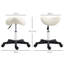 Chasie Adjustable Height Lab Stool Wheels-501474634