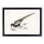 Green Pheasant by Numata Kashu - Picture Frame Painting Print-55736269-55736270