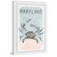 Crabes du Maryland - Reproduction d'art graphique sur papier encadré-2101486504