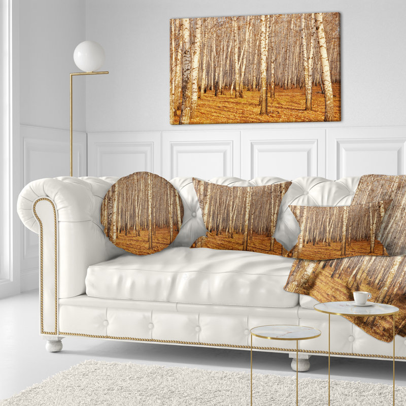 Coussin Dense Birch Forest in the Fall - Forest