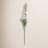 Fuchsia Stem-94734848