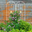 Versatile Rustproof Trellis for Outdoor Plants, Enhancing Garden Beauty-801664084-801664087