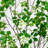 7Ft. Artificial Dogwood Tree