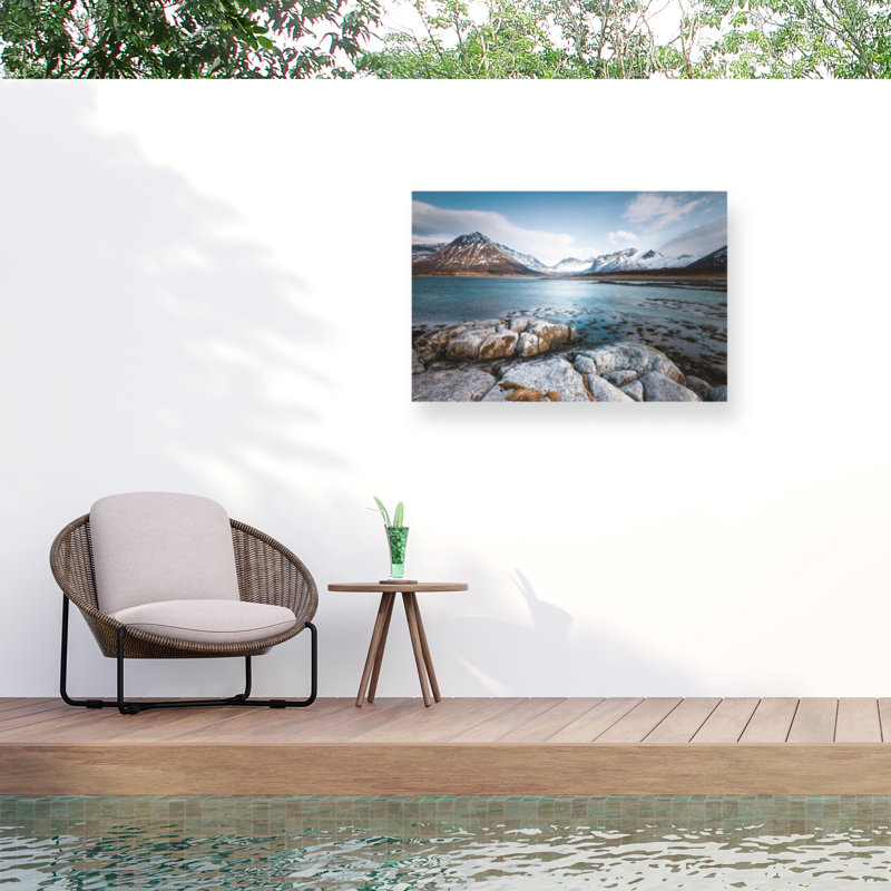Bol fauve bolologien sur toile, H 16 po x l 24 po