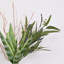 Feuillage de verdure artificiel de style campagnard avec une longue tige dans un vase avec de l'eau artificielle pour les centres de table de salle à manger