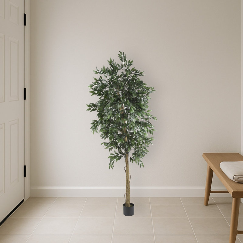 Smilax Silk Tree