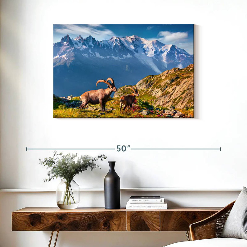 Bouquetin Alvord Mont Blanc, H 24 po x l 36 po