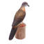 Figurine Ridgemont