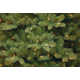 The Holiday Aisle® Downswept Douglas Fir Tree with Dual Color LED Lights