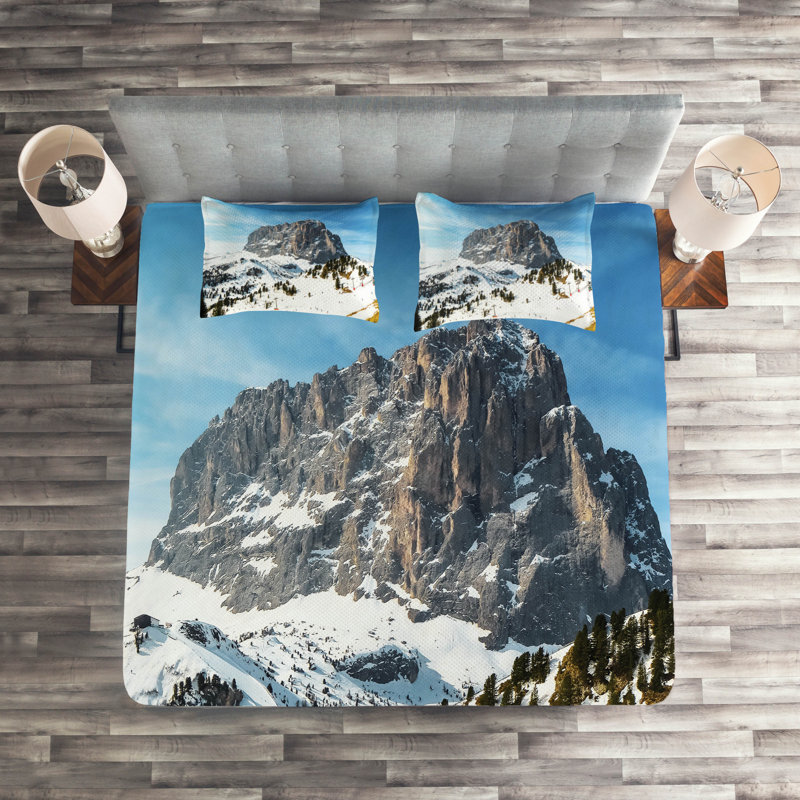 Modern & Contemporary Polyester Coverlet