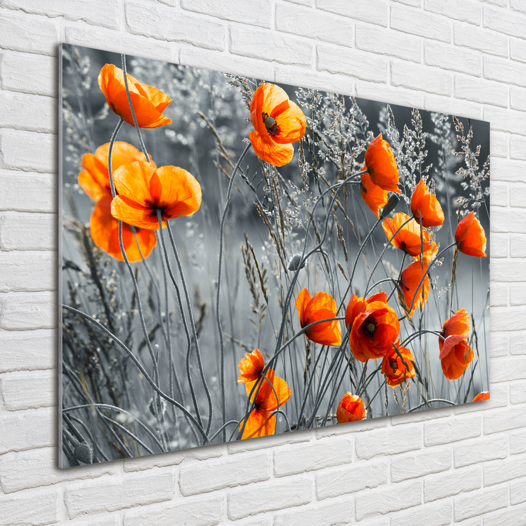 Glasbild Field Poppies