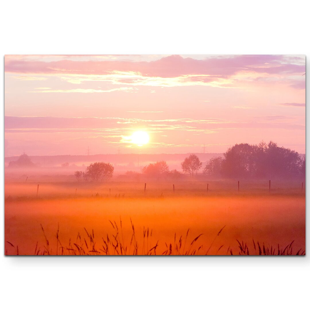 Leinwandbild Graslandschaft am Abend