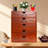 5-Drawer Wood Storage Drawer