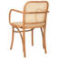 Fauteuil avec accoudoirs Sarianna-2061762012