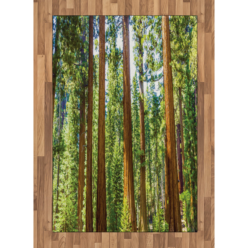 National Parks Nature High Density Long Fiber Poly Threads Decorative Area Rug Carpet, Rectangle 4' x 5'8"