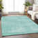 Premium Machine Washable Prisco Turquoise Rug