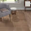 Fancy Brown Rug-23403268