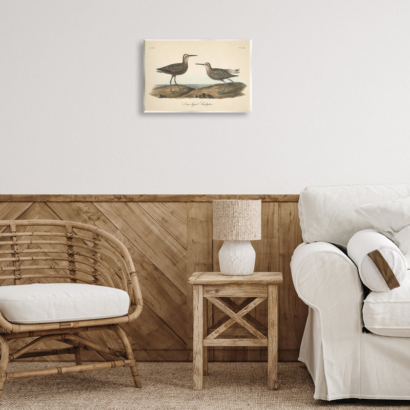 Long Legged Sandpiper Wall Plaque Art by Wild Apple Portfolio, 10" H x 15" W