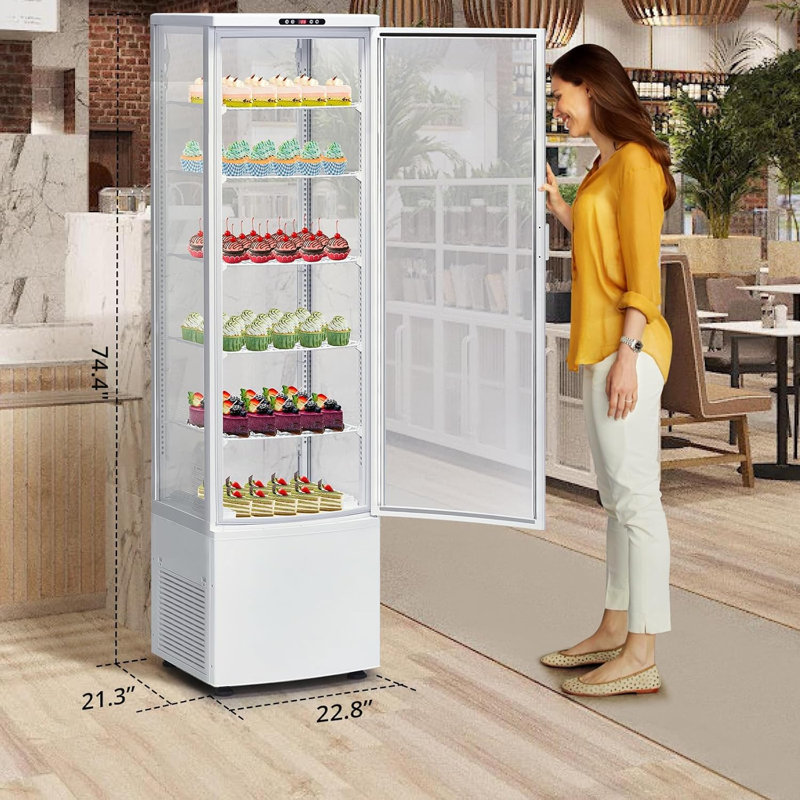 Réfrigérateur commercial 9,8 pi cu, réfrigérateur à boissons avec porte en verre avec DEL