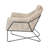 Recie Lounge Chair With Toughened Iron Frame-153846230