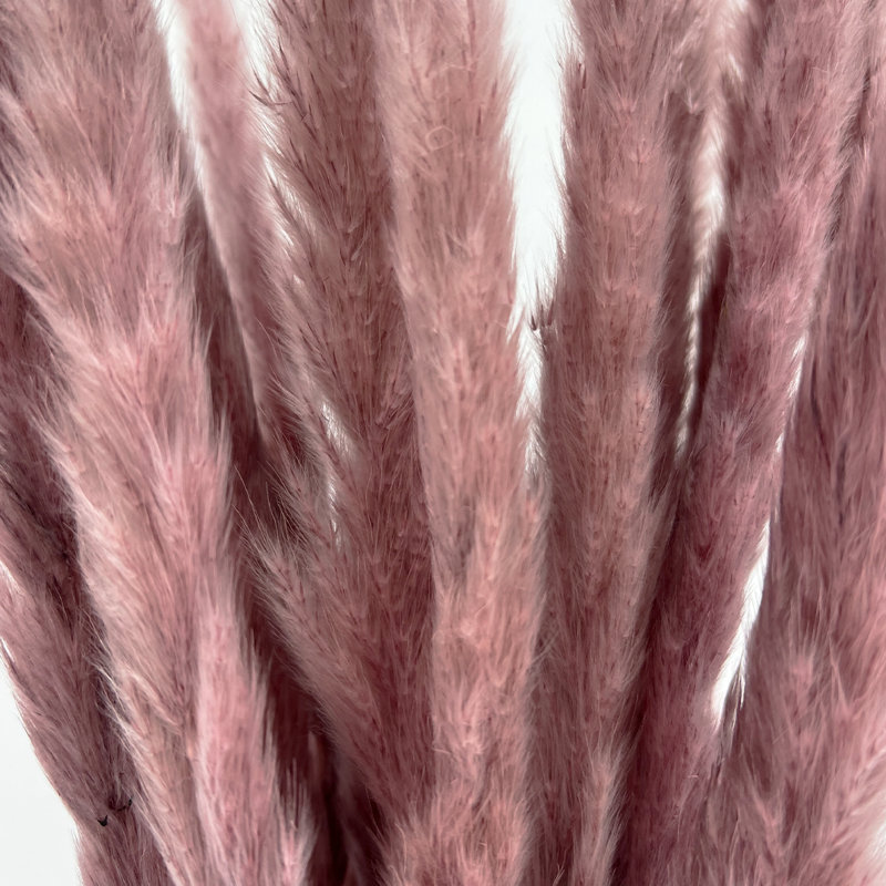 Fleurs préservées, Gris / mauve