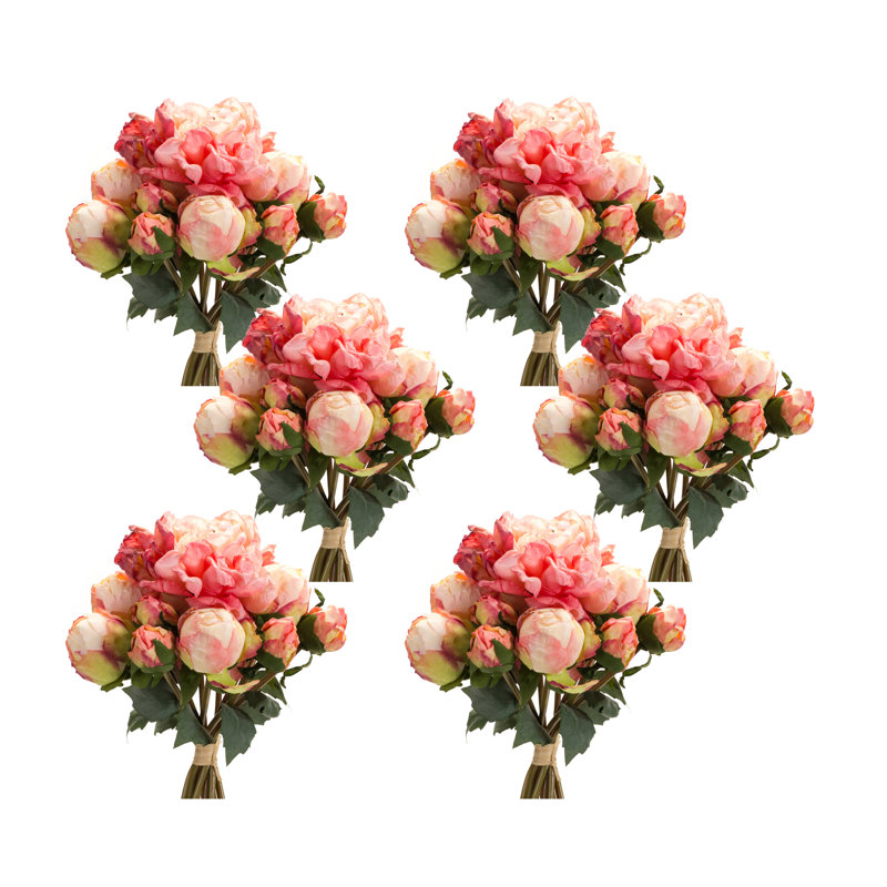 Tiges de pivoines, buissons et jets, Rose