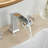 2-handle Bathroom Faucet with Drain Assembly-100089969