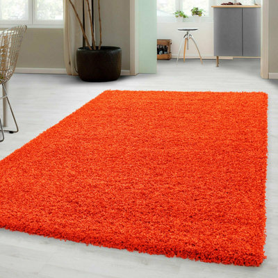 Aanuoluwa Shag 80cm X 150cm Area Rug