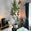 Customer photo 2 of 2