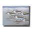 «Sandpipers I» par Tim O'toole, art mural sur toile-183492120