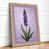 Oak